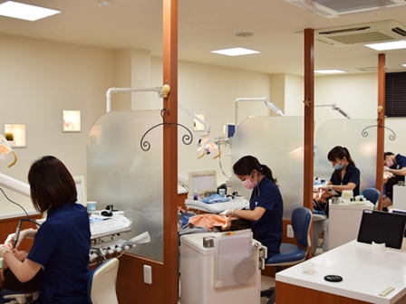 治療の様子 治療の様子