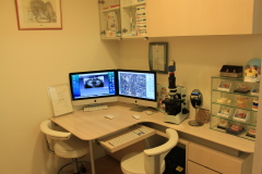 カウンセリングゾーン