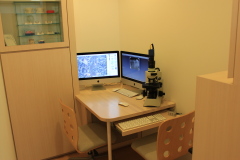 カウンセリングゾーン