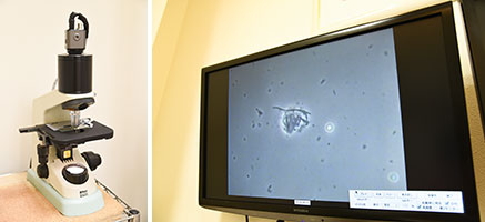 位相差顕微鏡 位相差顕微鏡