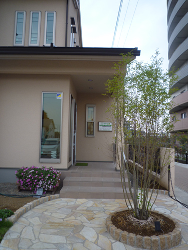 歯科 緑の森 入口 夜はライトアップされます